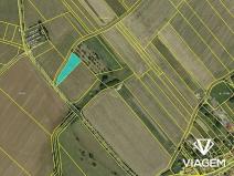 Prodej podílu pole, Němčice, 994 m2