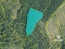 Prodej podílu lesa, Košíky, 2115 m2