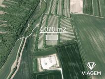 Prodej podílu sadu/vinice, Žarošice, 1017 m2