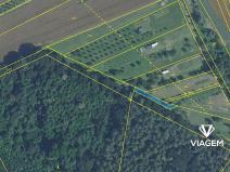 Prodej podílu lesa, Březolupy, 446 m2