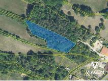 Prodej podílu lesa, Olešnice, 292 m2