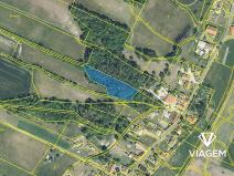 Prodej podílu lesa, Olešnice, 292 m2