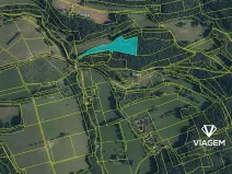 Prodej podílu lesa, Lutonina, 2332 m2