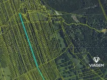 Prodej podílu lesa, Kněždub, 2335 m2