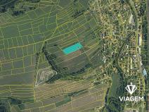 Prodej podílu pole, Lidečko, 1831 m2