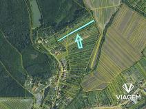 Prodej pozemku pro bydlení, Lovčice, 2560 m2