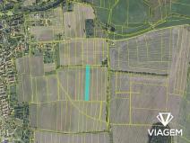 Prodej podílu pole, Sány, 1971 m2