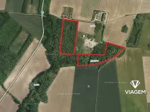 Prodej podílu lesa, Břežany, 7363 m2