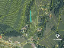 Prodej podílu pole, Starý Hrozenkov, 349 m2