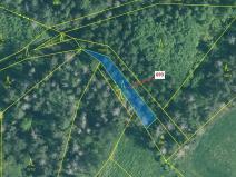 Dražba lesa, Kuřimany, 398 m2