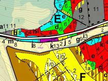 Dražba lesa, Kojetín, 1631 m2