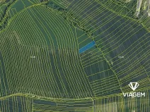 Prodej pole, Svárov, 2406 m2