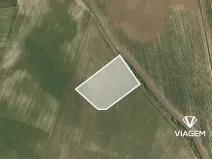 Prodej pole, Vinařice, 9786 m2