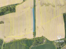 Prodej podílu pole, Choustník, 1661 m2