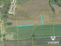 Prodej podílu pole, Pardubice, 2906 m2