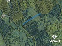 Prodej podílu pole, Kněždub, 3636 m2