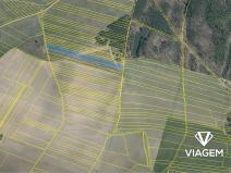 Prodej pole, Ledčice, 5749 m2