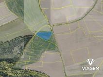 Prodej podílu pole, Radějovice, 3571 m2