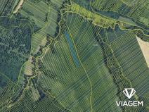 Prodej podílu pole, Popovice, 594 m2