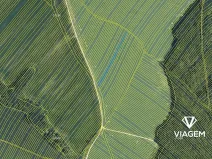 Prodej podílu pole, Mistřice, 401 m2