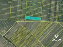 Prodej podílu pole, Hrušky, 912 m2