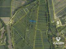 Prodej pole, Cerekvice nad Loučnou, 1780 m2