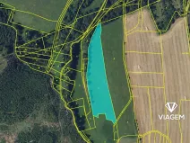 Prodej podílu pole, Žďárná, 4216 m2