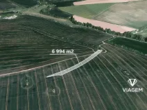 Prodej podílu pole, Kroměříž, 2331 m2