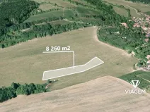 Prodej pole, Březůvky, 8260 m2