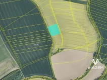 Prodej podílu pole, Zdounky, 426 m2