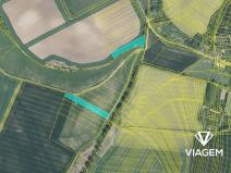 Prodej podílu pole, Litenčice, 1346 m2