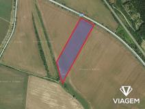 Prodej pole, Moravské Knínice, 18234 m2