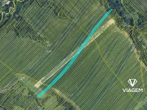 Prodej podílu pole, Mistřice, 3095 m2