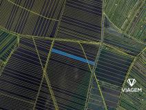 Prodej podílu pole, Strážnice, 715 m2