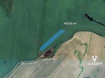 Prodej podílu pole, Čejetice, 1126 m2