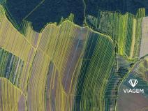 Prodej pole, Hluk, 2915 m2