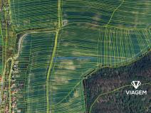 Prodej pole, Sobůlky, 1645 m2