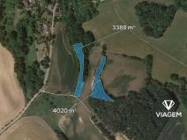 Prodej podílu lesa, Kravaře, 714 m2