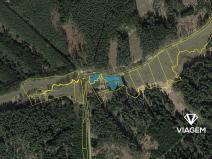 Prodej podílu lesa, Radenín, 239 m2