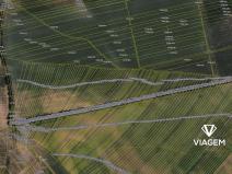 Prodej podílu pole, Prušánky, 307 m2