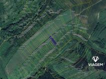 Prodej podílu pole, Hustopeče, 253 m2