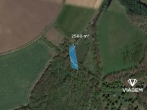 Prodej pole, Kopidlno, 2568 m2