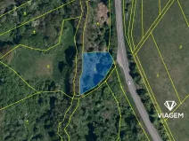 Prodej lesa, Doubravy, 22389 m2