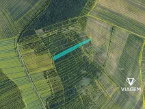 Prodej lesa, Silůvky, 4817 m2