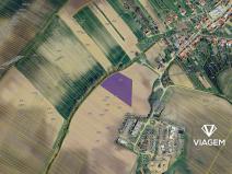 Prodej podílu pole, Lovčice, 2817 m2