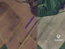 Prodej podílu pole, Střížovice, 1163 m2