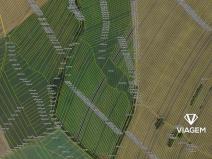 Prodej podílu pole, Velká nad Veličkou, 1557 m2