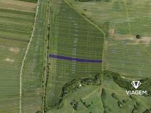 Prodej podílu pole, Javorník, 2756 m2