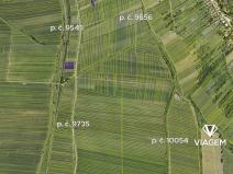 Prodej podílu pole, Javorník, 3412 m2