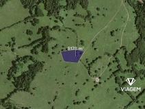 Prodej podílu pole, Javorník, 1168 m2